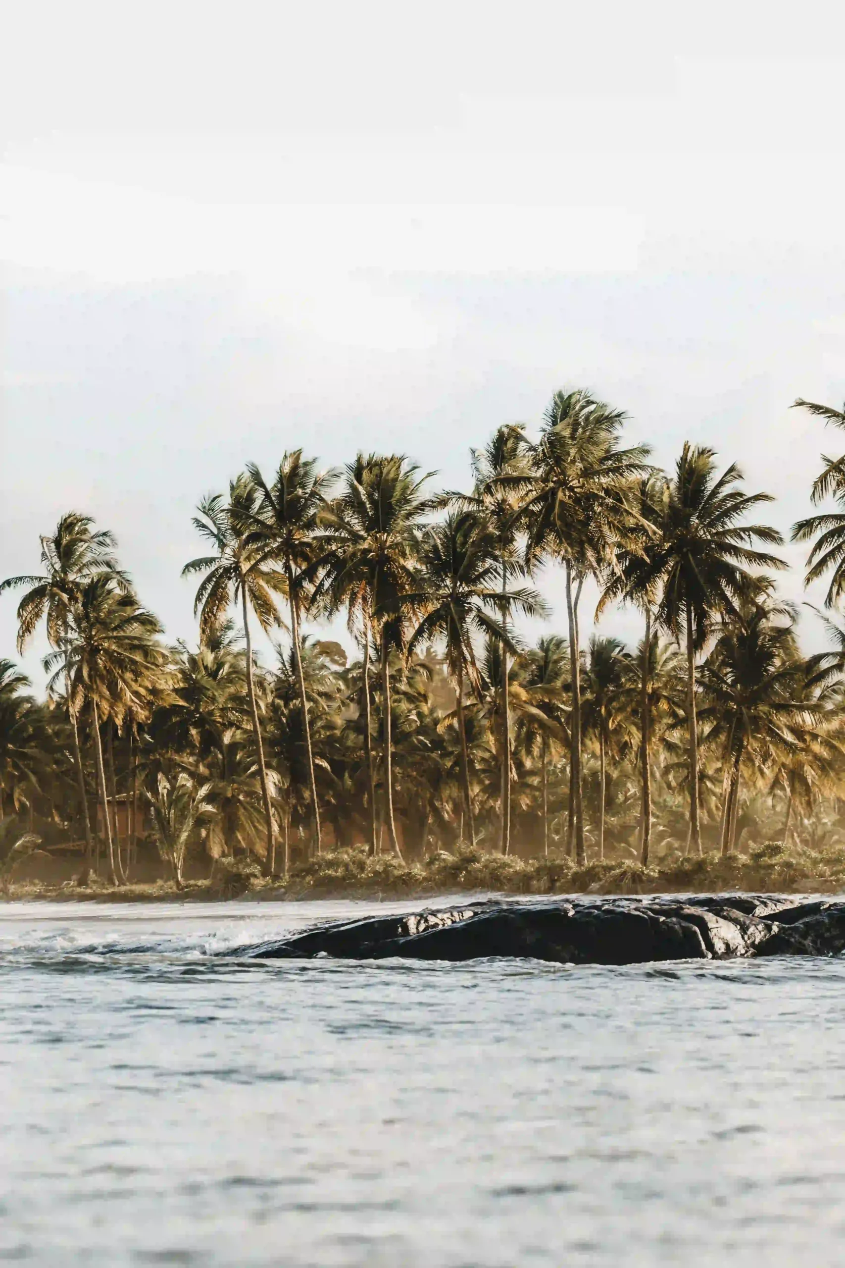 Background Investment Villas in Kedungu